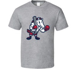 Binghamton Rumble Ponies Baseball Team Mascot T Shirt
