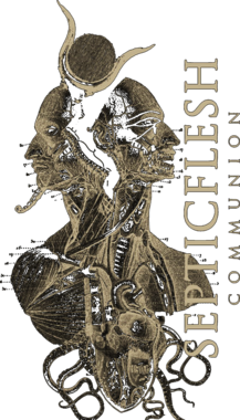 https://s3.us-west-1.wasabisys.com/ecart-content/retroamericantshirts.com/overlays/362/773/36277392.png img