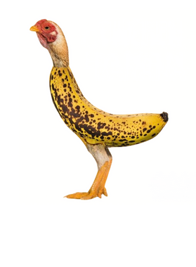 https://s3.us-west-1.wasabisys.com/ecart-content/retroamericantshirts.com/overlays/403/714/40371462.png img