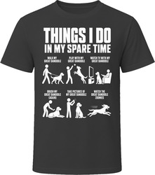 Things I Do In My Spare Time Great Danoodle T Shirt