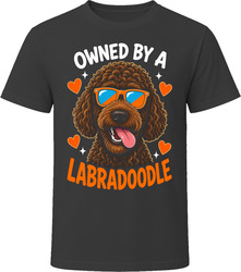 Owned By A Labradoodle T Shirt