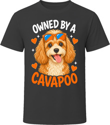 Owned By A Cavapoo T Shirt