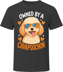 Owned By A Cavapoochon T Shirt