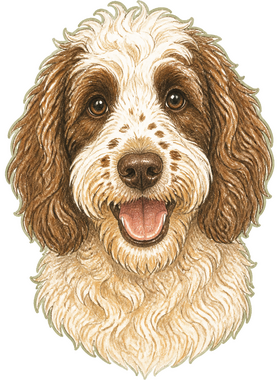 https://s3.us-west-1.wasabisys.com/ecart-content/retrodoodles.com/overlays/404/011/40401103.png img