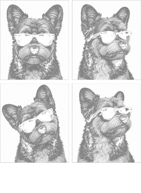 overlay