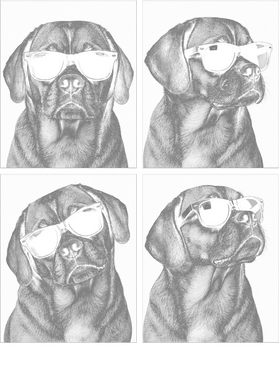 overlay
