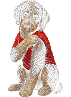 https://s3.us-west-1.wasabisys.com/ecart-content/retrodoodles.com/overlays/404/022/40402270.png img