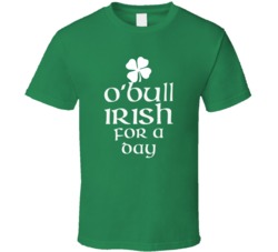 Bull O Bull Irish For A Day St Patrick Day T Shirt