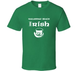 Hallandale Beach Irish St Patricks Day St Patrick Day Ireland Heritage