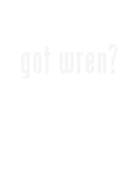https://s3.us-west-1.wasabisys.com/ecart-content/stpatricksdaytee.com/overlays/131/413/1314135.png img