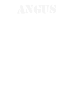 https://s3.us-west-1.wasabisys.com/ecart-content/stpatricksdaytee.com/overlays/131/682/1316829.png img