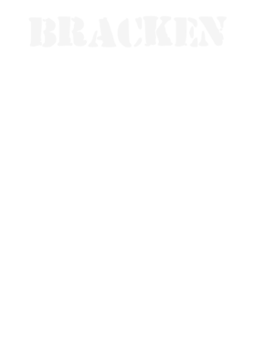https://s3.us-west-1.wasabisys.com/ecart-content/stpatricksdaytee.com/overlays/131/718/1317182.png img