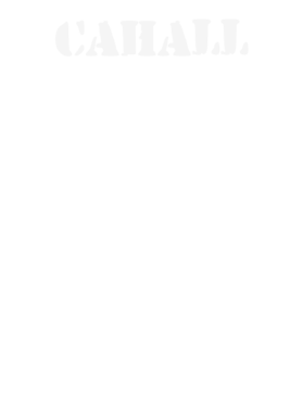 https://s3.us-west-1.wasabisys.com/ecart-content/stpatricksdaytee.com/overlays/131/736/1317361.png img