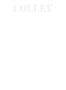 https://s3.us-west-1.wasabisys.com/ecart-content/stpatricksdaytee.com/overlays/131/773/1317739.png img