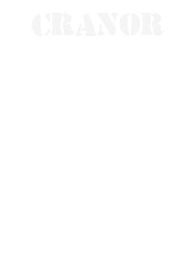 https://s3.us-west-1.wasabisys.com/ecart-content/stpatricksdaytee.com/overlays/131/798/1317988.png img