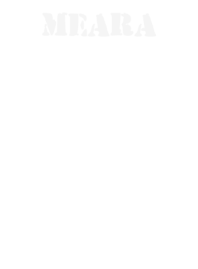 https://s3.us-west-1.wasabisys.com/ecart-content/stpatricksdaytee.com/overlays/131/930/1319306.png img