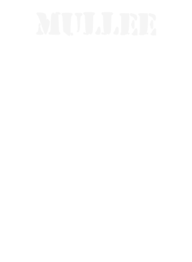 https://s3.us-west-1.wasabisys.com/ecart-content/stpatricksdaytee.com/overlays/131/962/1319623.png img