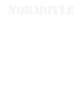 https://s3.us-west-1.wasabisys.com/ecart-content/stpatricksdaytee.com/overlays/131/988/1319884.png img