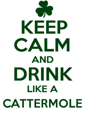 https://s3.us-west-1.wasabisys.com/ecart-content/stpatricksdaytee.com/overlays/733/045/7330454.png img