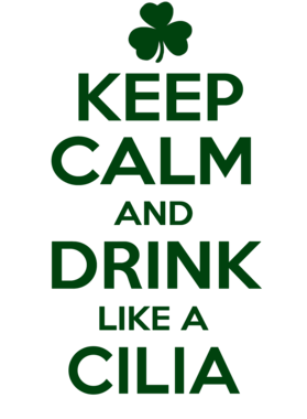 https://s3.us-west-1.wasabisys.com/ecart-content/stpatricksdaytee.com/overlays/733/524/7335241.png img