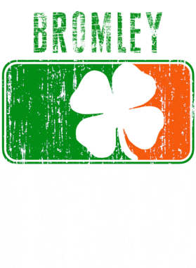 https://s3.us-west-1.wasabisys.com/ecart-content/stpatricksdaytee.com/overlays/733/823/7338232.png img