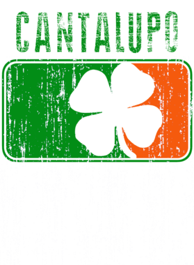 https://s3.us-west-1.wasabisys.com/ecart-content/stpatricksdaytee.com/overlays/734/618/7346182.png img
