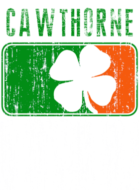 https://s3.us-west-1.wasabisys.com/ecart-content/stpatricksdaytee.com/overlays/734/955/7349556.png img