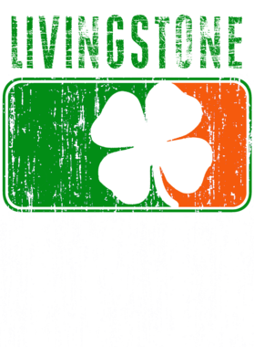 https://s3.us-west-1.wasabisys.com/ecart-content/stpatricksdaytee.com/overlays/749/588/7495887.png img