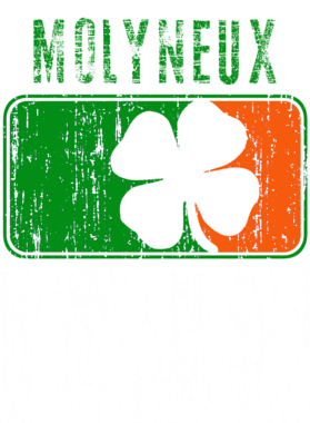 https://s3.us-west-1.wasabisys.com/ecart-content/stpatricksdaytee.com/overlays/752/180/7521807.png img