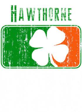 https://s3.us-west-1.wasabisys.com/ecart-content/stpatricksdaytee.com/overlays/791/267/7912675.png img