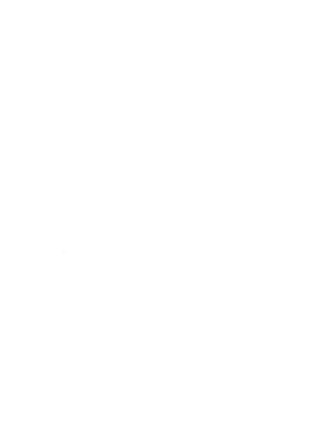 https://s3.us-west-1.wasabisys.com/ecart-content/tennesseetshirts.com/overlays/384/462/38446260.png img