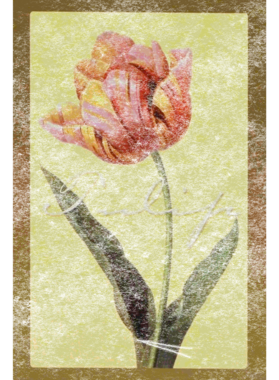 overlay