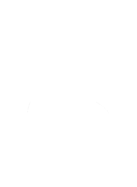 https://s3.us-west-1.wasabisys.com/ecart-content/tennesseetshirts.com/overlays/384/464/38446491.png img