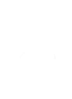https://s3.us-west-1.wasabisys.com/ecart-content/tennesseetshirts.com/overlays/384/465/38446505.png img