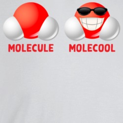 Molecool Molecule Funny Science T Shirt