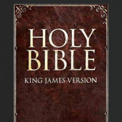 The Bible Popular Book Cover Avid Readers T Shirt The Bible Popular Book Cover Avid Readers T Shirt