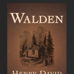 Walden Popular Book Cover Avid Readers T Shirt Walden Popular Book Cover Avid Readers T Shirt