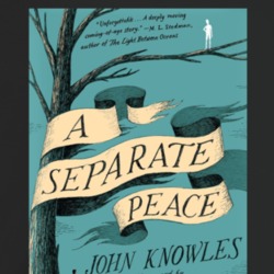 A Separate Peace Popular Book Cover Avid Readers T Shirt A Separate Peace Popular Book Cover Avid Readers T Shirt