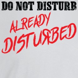 Do Not Disturbed Already Disturbed Funny T Shirt Do Not Disturbed Already Disturbed Funny T Shirt