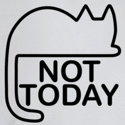 Not Today Lazy Cat Bored Cute Funny Cat Lovers T Shirt Not Today Lazy Cat Bored Cute Funny Cat Lovers T Shirt