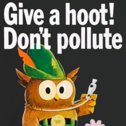 Woodsy Owl Give A Hoot Dont Pollute 80s Nostalgia Funny T Shirt Woodsy Owl Give A Hoot Dont Pollute 80s Nostalgia Funny T Shirt