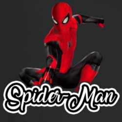 Spiderman Best Movie Character T Shirt Spiderman Best Movie Character T Shirt