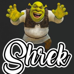 Shrek Best Movie Character T Shirt Shrek Best Movie Character T Shirt