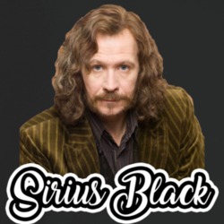 Sirius Black Best Movie Character T Shirt Sirius Black Best Movie Character T Shirt