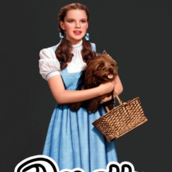 Dorothy Gale Best Movie Character T Shirt Dorothy Gale Best Movie Character T Shirt