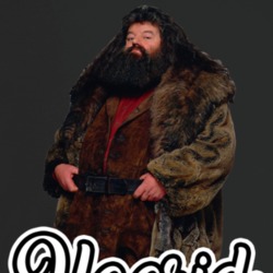 Rubeus Hagrid Harry Potter Best Movie Character T Shirt Rubeus Hagrid Harry Potter Best Movie Character T Shirt