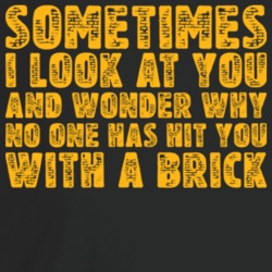 Sometimes I Look At You And Wonder Why No One Has Hit You With A Brick Sometimes I Look At You And Wonder Why No One Has Hit You With A Brick