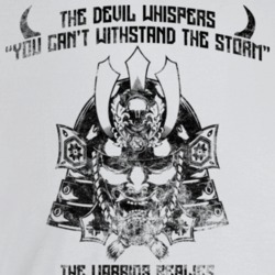 The Warrior Replies I Am The Storm Martial Arts Military Fighter Worn The Warrior Replies I Am The Storm Martial Arts Military Fighter Worn