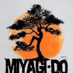 Miyagi Do Karate Kid Movie Fan T Shirt Miyagi Do Karate Kid Movie Fan T Shirt