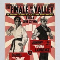 The Finale In The Valley Karate Kid Retro Movie Fan T Shirt The Finale In The Valley Karate Kid Retro Movie Fan T Shirt